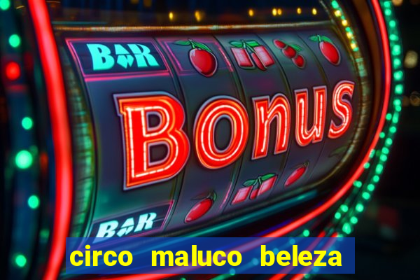 circo maluco beleza recife circo maluco