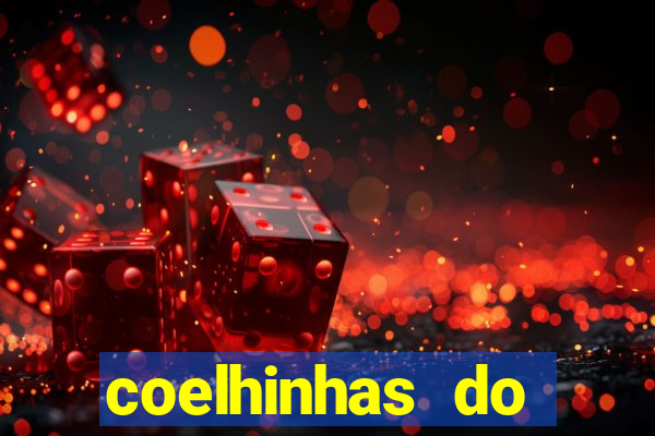 coelhinhas do brasil recife