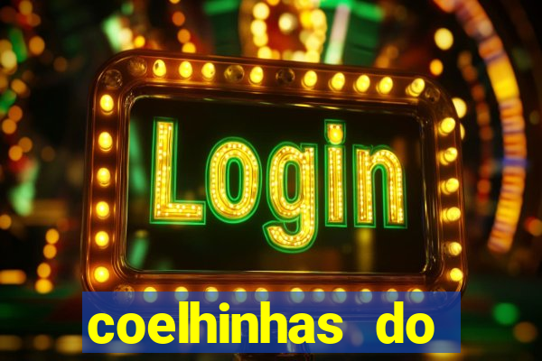 coelhinhas do brasil recife