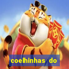 coelhinhas do brasil recife