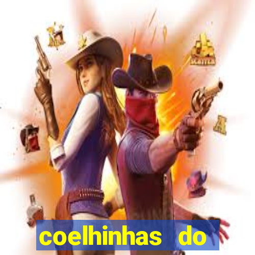 coelhinhas do brasil recife