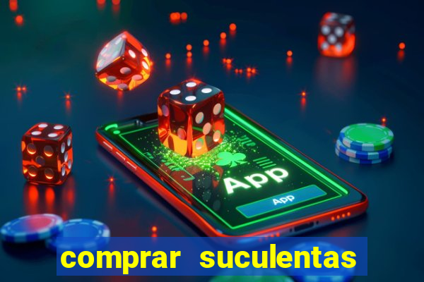 comprar suculentas direto do produtor