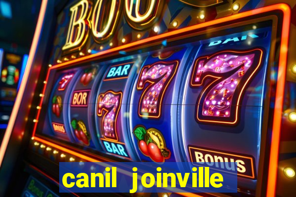 canil joinville vila nova