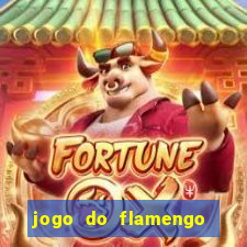 jogo do flamengo online multi