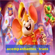 acompanhantes trans santos sp