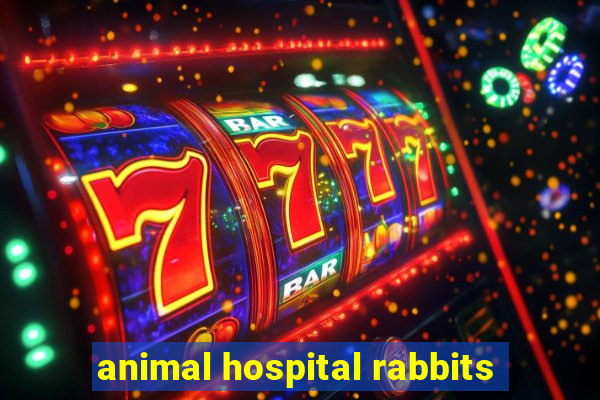 animal hospital rabbits