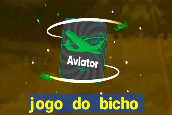 jogo do bicho crash bingo