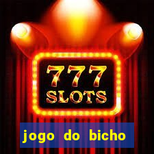 jogo do bicho crash bingo