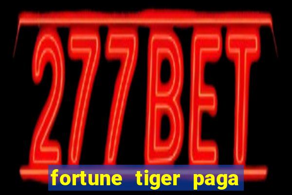 fortune tiger paga de madrugada