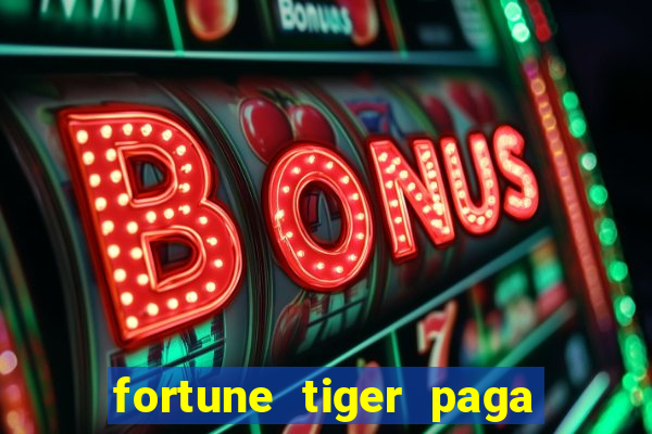 fortune tiger paga de madrugada