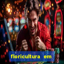 floricultura em lauro de freitas