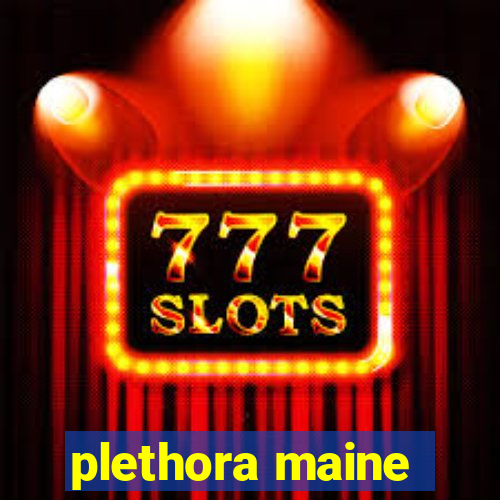 plethora maine