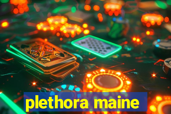 plethora maine