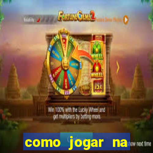 como jogar na seninha online