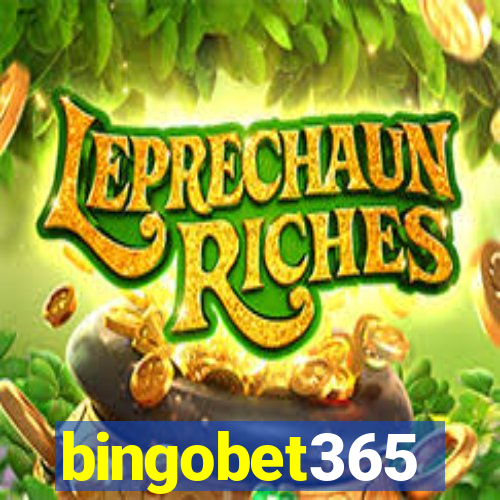 bingobet365