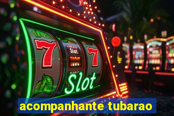 acompanhante tubarao