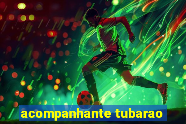 acompanhante tubarao