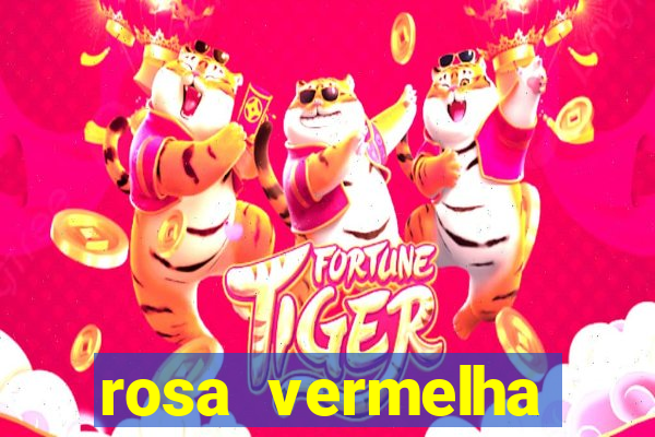 rosa vermelha (letra e cifra)