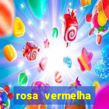 rosa vermelha (letra e cifra)