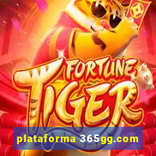 plataforma 365gg.com