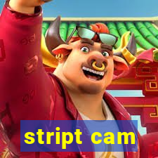 stript cam