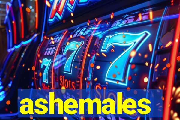 ashemales