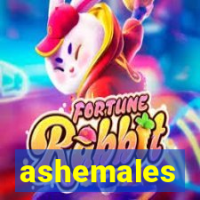 ashemales