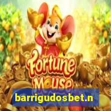 barrigudosbet.net