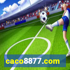 caco8877.com