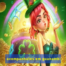 acompanhates em guanambi