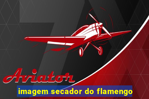 imagem secador do flamengo