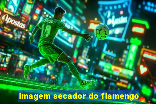 imagem secador do flamengo