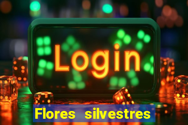 Flores silvestres brasileiras 25