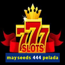 mayseeds 444 pelada