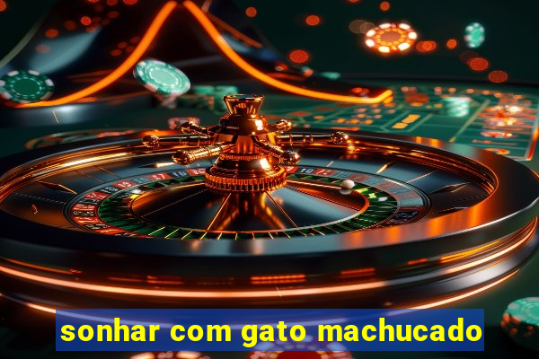 sonhar com gato machucado