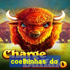 coelhinhas do brasil site