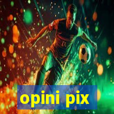 opini pix