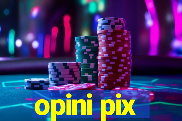 opini pix