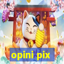 opini pix