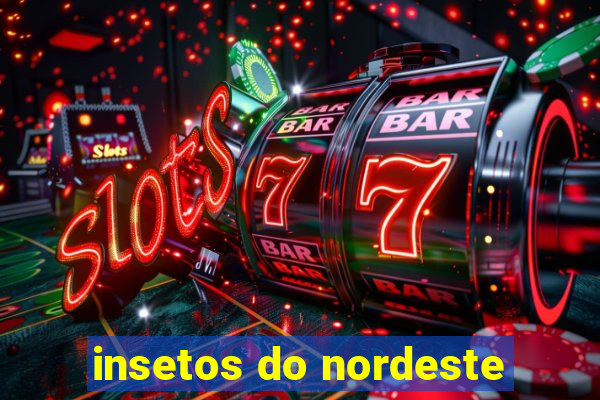 insetos do nordeste