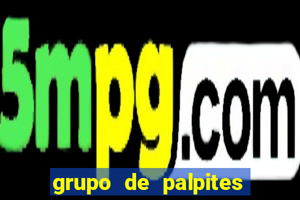 grupo de palpites de futebol whatsapp