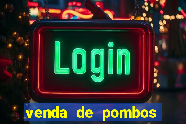 venda de pombos correios olx