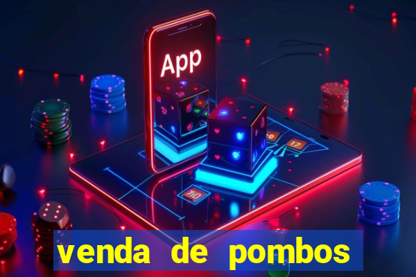 venda de pombos correios olx