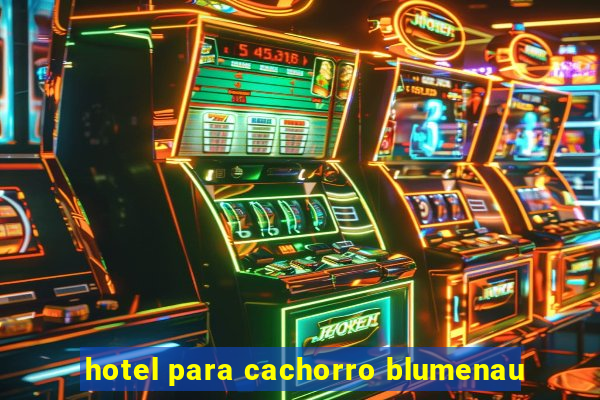 hotel para cachorro blumenau