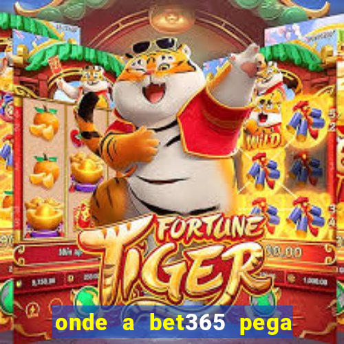 onde a bet365 pega as estatisticas