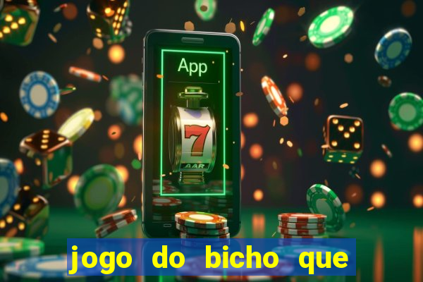 jogo do bicho que paga no pix