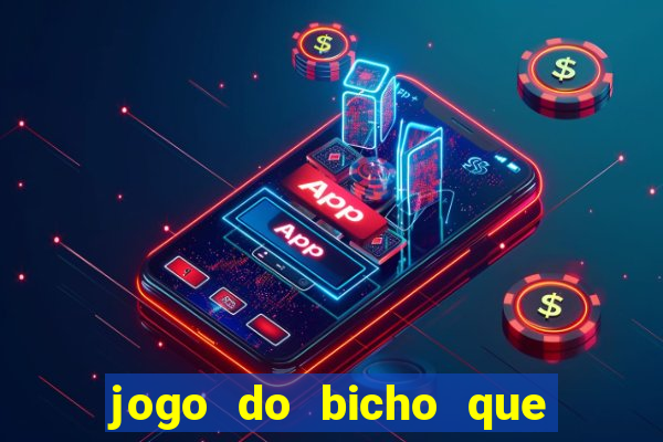 jogo do bicho que paga no pix