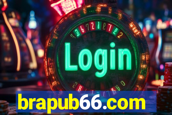 brapub66.com