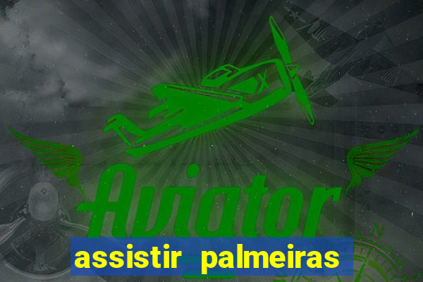 assistir palmeiras futebol play