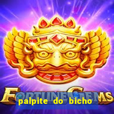 palpite do bicho deu no poste